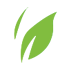 footer_leaf_icon